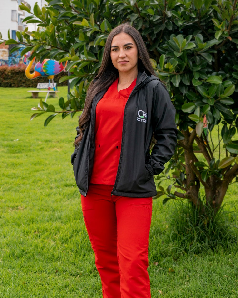 Nébula